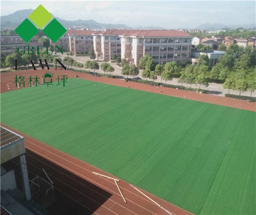 浙江東陽橫店第三小學(xué)五人制足球場(chǎng)